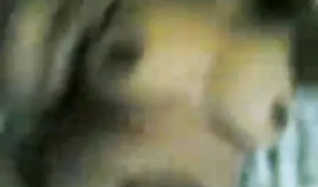 प्रेमिका और सोफे बीपी सेक्सी फिल्म बीपी पर गड़बड़
