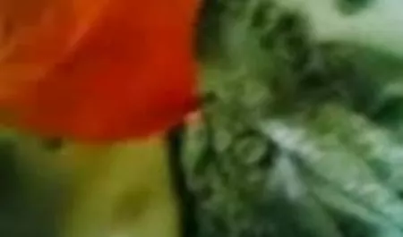 सुपर गुदा सेक्स सेक्सी मूवी फिल्म वीडियो में