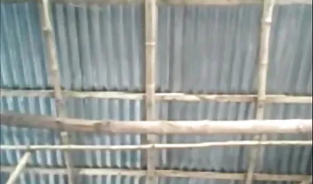 अफ्रीकी सेक्सी फिल्म चलना चाहिए ने योनि सारा जे की गहराई का अध्ययन किया