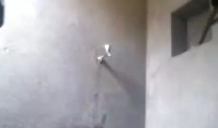 किरायेदार की सेक्सी मूवी ने नग्न एला ह्यूजेस को अपार्टमेंट में पाया और उसे गड़बड़ कर दिया