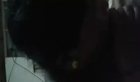 बड़ा titted एलिसन टायलर वाइब्रेटर के सेक्सी पिक्चर चाहिए इंग्लिश साथ खेलता है