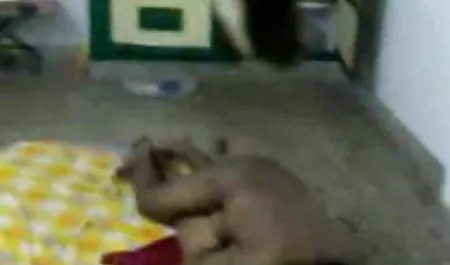 लिसा एन और जूलिया एन ने अपने बीपी सेक्सी वीडियो फिल्म क्लिट को रगड़ दिया