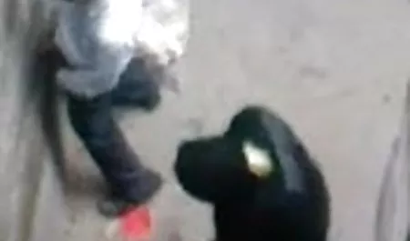 लड़कियों के लिए सेक्सी फिल्म वीडियो घोड़ा