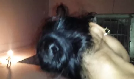 Dreadlocks के सेक्सी फिल्म पिक्चर वीडियो में साथ अनौपचारिक एक व्यक्ति के सामने आत्मसमर्पण कर दिया