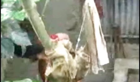 तीन कुतिया खेलते हैं सेक्सी फिल्म नई बीडीएसएम