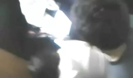 चिकी सेक्सी फिल्म बॉलीवुड ने खुद को blowjob के लिए दिया