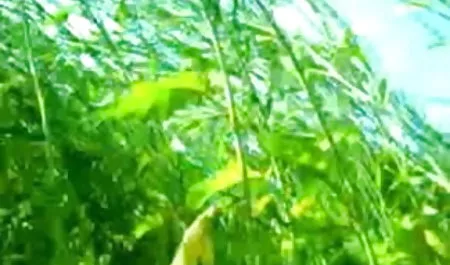 बार-बार सेक्स से बवासीर के साथ गुदा सेक्सी मूवी हिंदी