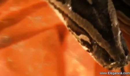 एशियाई सनी लियॉन की सेक्सी फिल्म महिला एक आदमी को धोता है और उसे चूसता है