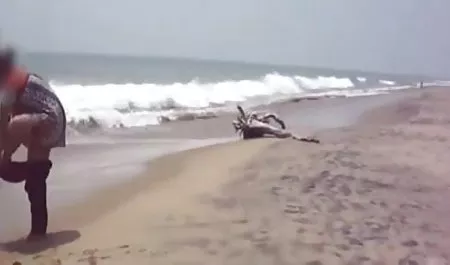 एमआईएलए सुखद अंत सेक्सी फिल्म हद के साथ वकील सेवाएं प्रदान करता है