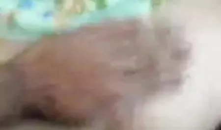 वेश्या वीडियो सेक्सी फिल्म वीडियो सेक्सी ने गधे को रखा और वाइब्रेटर से हस्तमैथुन किया